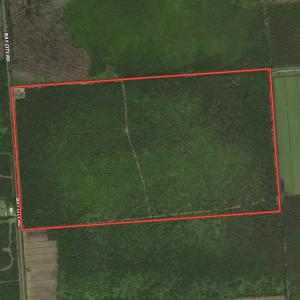 Photo #1 of SOLD property in Off Bay City Road, Bayboro, NC 352.0 acres