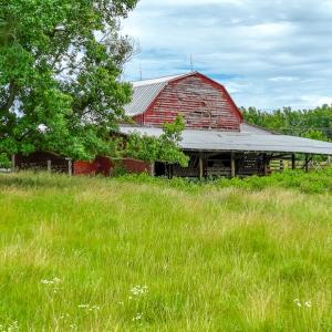 Photo #6 of SOLD property in 2235 Cherry Grove Road, Yanceyville, NC 4.6 acres