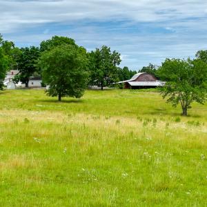 Photo #19 of SOLD property in 2235 Cherry Grove Road, Yanceyville, NC 4.6 acres