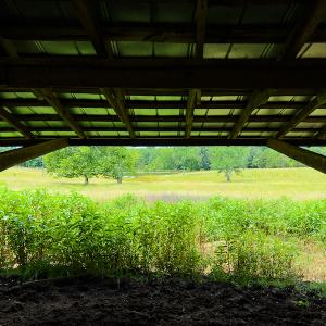 Photo #29 of SOLD property in 2235 Cherry Grove Road, Yanceyville, NC 4.6 acres