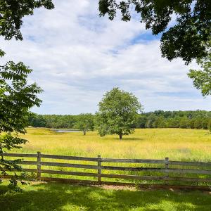 Photo #32 of SOLD property in 2235 Cherry Grove Road, Yanceyville, NC 4.6 acres