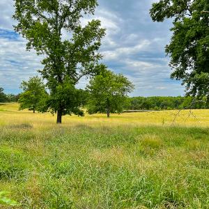 Photo #51 of SOLD property in 2235 Cherry Grove Road, Yanceyville, NC 4.6 acres