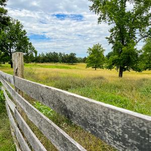 Photo #53 of SOLD property in 2235 Cherry Grove Road, Yanceyville, NC 4.6 acres