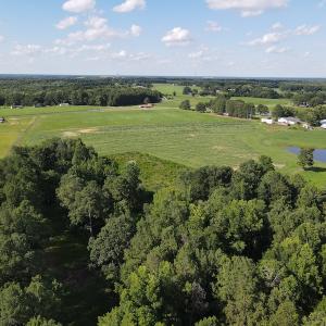 Photo #11 of SOLD property in 403 Old Olive Road, Smithfield, NC 19.9 acres
