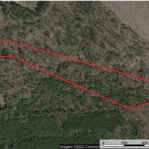 Photo #1 of SOLD property in Off Pairs Road, Emporia, VA 9.2 acres