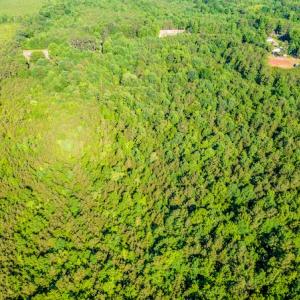 Photo #12 of SOLD property in Off Pairs Road, Emporia, VA 9.2 acres