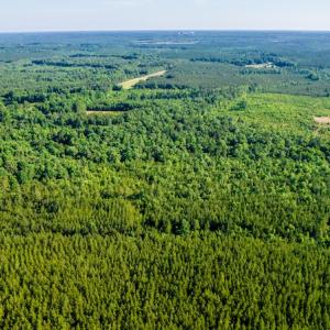 Photo #13 of SOLD property in Off Pairs Road, Emporia, VA 9.2 acres