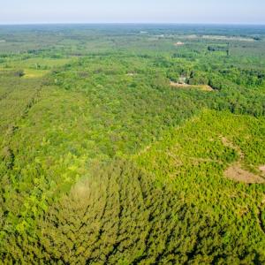 Photo #14 of SOLD property in Off Pairs Road, Emporia, VA 9.2 acres