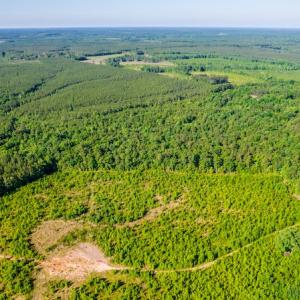 Photo #15 of SOLD property in Off Pairs Road, Emporia, VA 9.2 acres