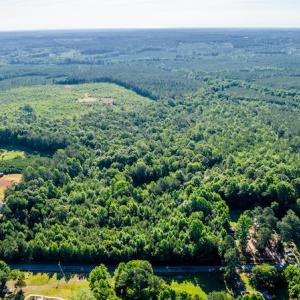 Photo #17 of SOLD property in Off Pairs Road, Emporia, VA 9.2 acres