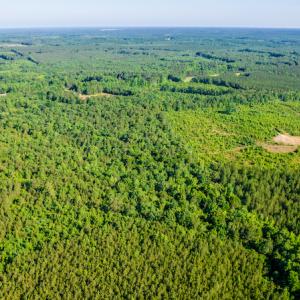Photo #19 of SOLD property in Off Pairs Road, Emporia, VA 9.2 acres