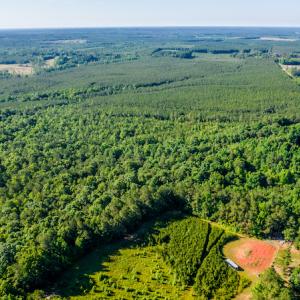 Photo #20 of SOLD property in Off Pairs Road, Emporia, VA 9.2 acres