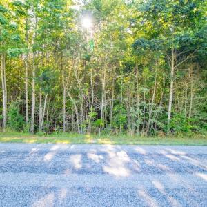 Photo #4 of SOLD property in Off Pairs Road, Emporia, VA 9.2 acres