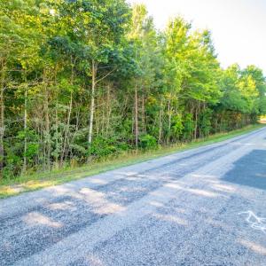 Photo #5 of SOLD property in Off Pairs Road, Emporia, VA 9.2 acres