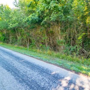 Photo #6 of SOLD property in Off Pairs Road, Emporia, VA 9.2 acres