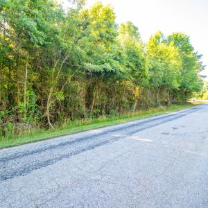 Photo #7 of SOLD property in Off Pairs Road, Emporia, VA 9.2 acres