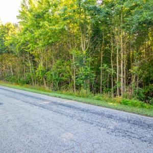 Photo #8 of SOLD property in Off Pairs Road, Emporia, VA 9.2 acres