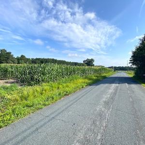 Photo #9 of SOLD property in Off Guard Shore Drive, Bloxom, VA 4.0 acres