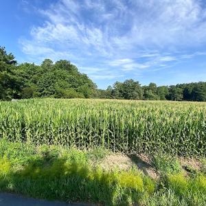 Photo #10 of SOLD property in Off Guard Shore Drive, Bloxom, VA 4.0 acres