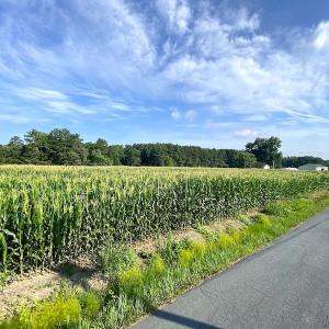 Photo #11 of SOLD property in Off Guard Shore Drive, Bloxom, VA 4.0 acres