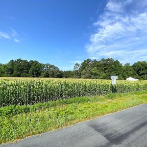 Photo #13 of SOLD property in Off Guard Shore Drive, Bloxom, VA 4.0 acres