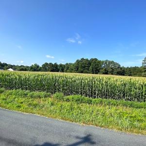 Photo #14 of SOLD property in Off Guard Shore Drive, Bloxom, VA 4.0 acres
