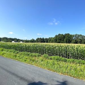 Photo #15 of SOLD property in Off Guard Shore Drive, Bloxom, VA 4.0 acres