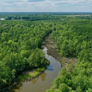 Photo #6 of Off Tarpon Pointe, Bath, NC 2.7 acres