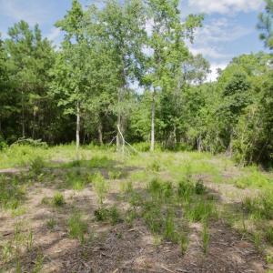 Photo #19 of Off Tarpon Pointe, Bath, NC 2.7 acres