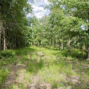 Photo #20 of Off Tarpon Pointe, Bath, NC 2.7 acres