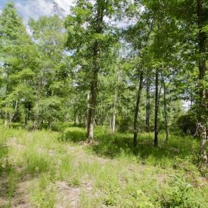 Photo #21 of Off Tarpon Pointe, Bath, NC 2.7 acres