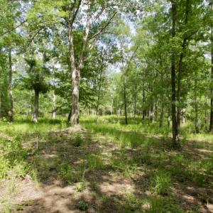 Photo #22 of Off Tarpon Pointe, Bath, NC 2.7 acres