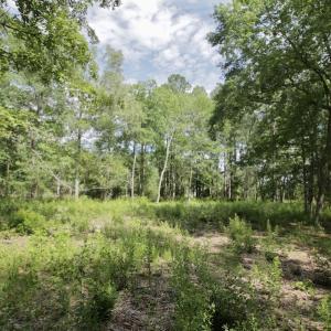 Photo #25 of Off Tarpon Pointe, Bath, NC 2.7 acres
