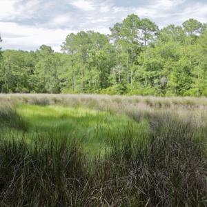 Photo #27 of Off Tarpon Pointe, Bath, NC 2.7 acres