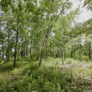 Photo #28 of Off Tarpon Pointe, Bath, NC 2.7 acres