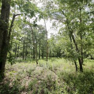 Photo #29 of Off Tarpon Pointe, Bath, NC 2.7 acres