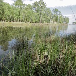 Photo #33 of Off Tarpon Pointe, Bath, NC 2.7 acres