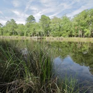 Photo #34 of Off Tarpon Pointe, Bath, NC 2.7 acres