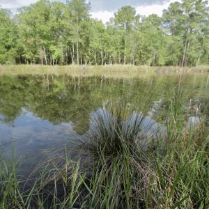 Photo #35 of Off Tarpon Pointe, Bath, NC 2.7 acres
