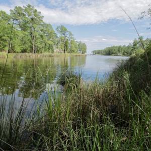 Photo #36 of Off Tarpon Pointe, Bath, NC 2.7 acres