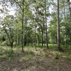 Photo #37 of Off Tarpon Pointe, Bath, NC 2.7 acres