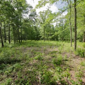 Photo #38 of Off Tarpon Pointe, Bath, NC 2.7 acres