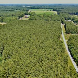 Photo #3 of SOLD property in Off Page Riddick Road, Gates, NC 10.6 acres
