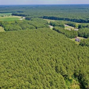 Photo #4 of SOLD property in Off Page Riddick Road, Gates, NC 10.6 acres
