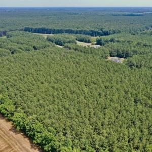 Photo #5 of SOLD property in Off Page Riddick Road, Gates, NC 10.6 acres
