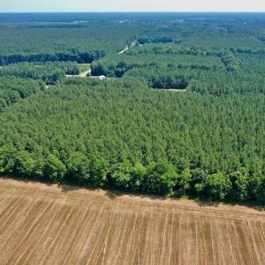 Photo #6 of SOLD property in Off Page Riddick Road, Gates, NC 10.6 acres
