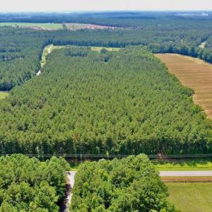 Photo #8 of SOLD property in Off Page Riddick Road, Gates, NC 10.6 acres