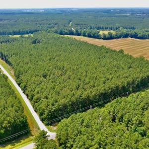 Photo #9 of SOLD property in Off Page Riddick Road, Gates, NC 10.6 acres