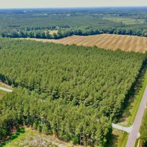 Photo #10 of SOLD property in Off Page Riddick Road, Gates, NC 10.6 acres