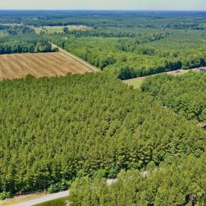 Photo #11 of SOLD property in Off Page Riddick Road, Gates, NC 10.6 acres